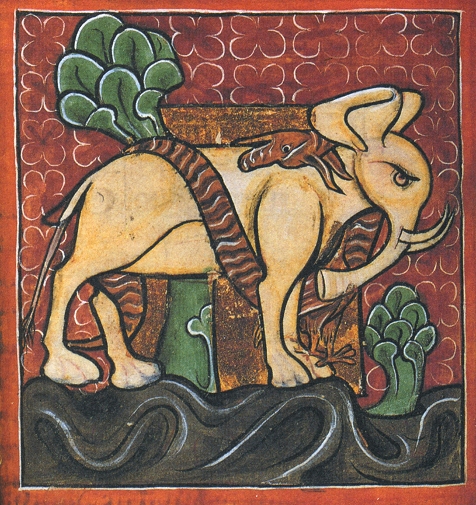 Elephant with a dragon coiled around it - a page from a bestiary manuscript MS Body 764, Bodleian Library, Oxford, England, Wikimedia Commons