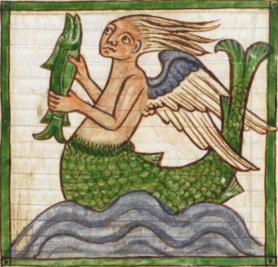 Illustration of a Siren from Bestiary Harley MS 3244, British Library Digitised Manuscripts